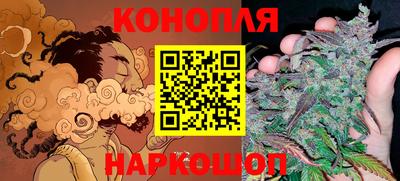 шишки Гатчина