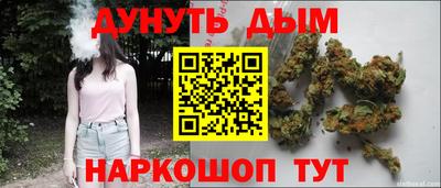 шишки Гатчина