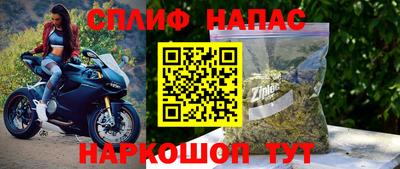 шишки Гатчина