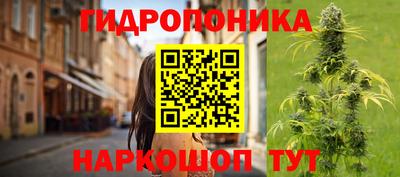 шишки Гатчина