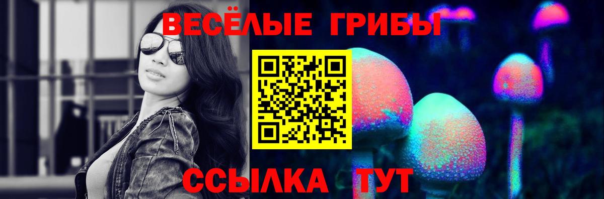 Галлюциногенные грибы мицелий Мурманск